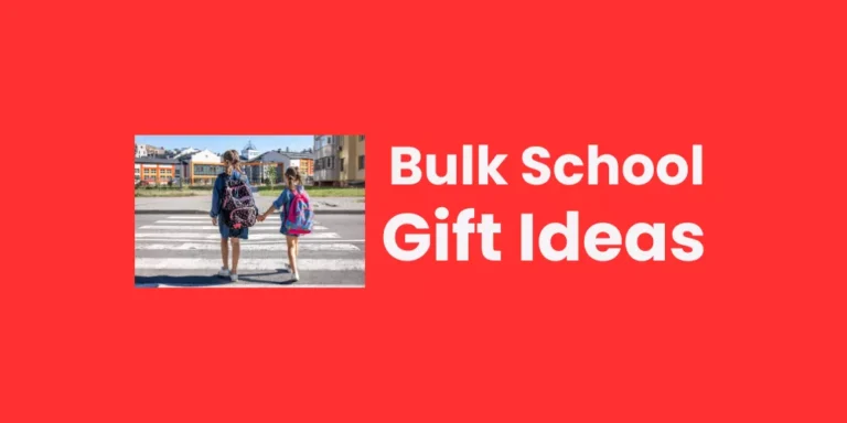 Inexpensive back to school gifts for classmates bulk