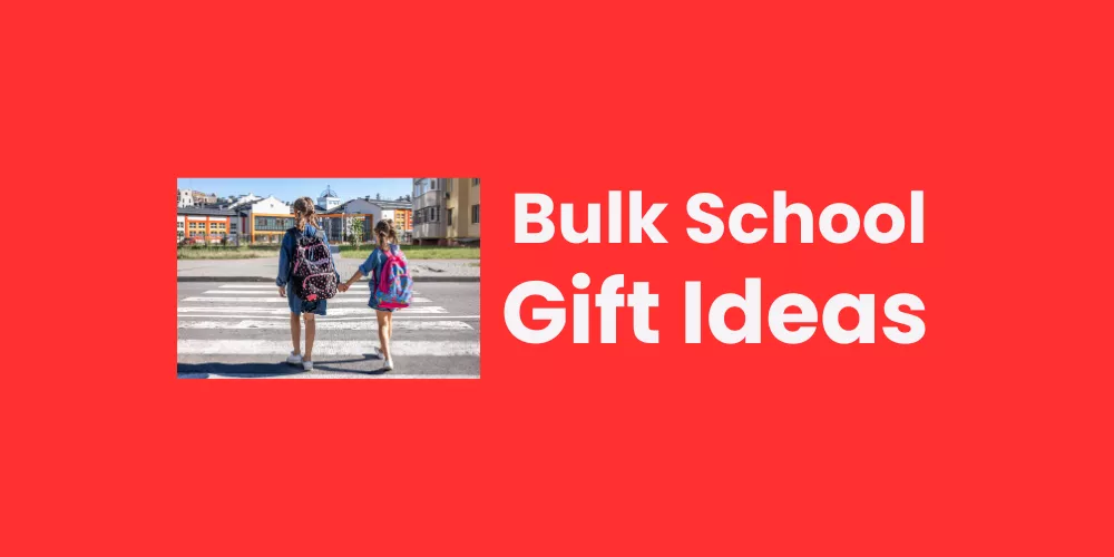 Inexpensive back to school gifts for classmates bulk in 2026